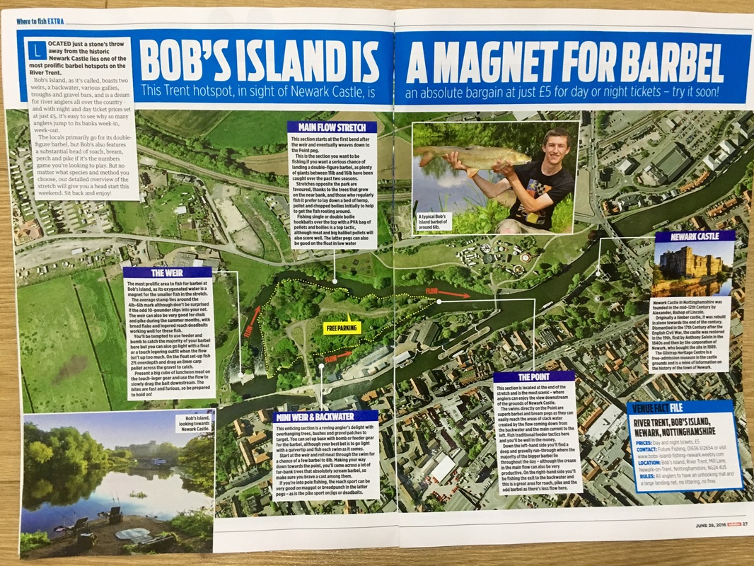 Bobs Island Angling Times Article